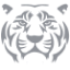 Fortune Tiger